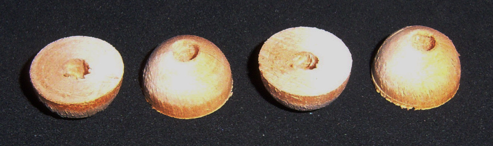 Wooden Ampico 'A' Primary Valve Button