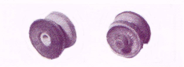 Pratt-Read Valves